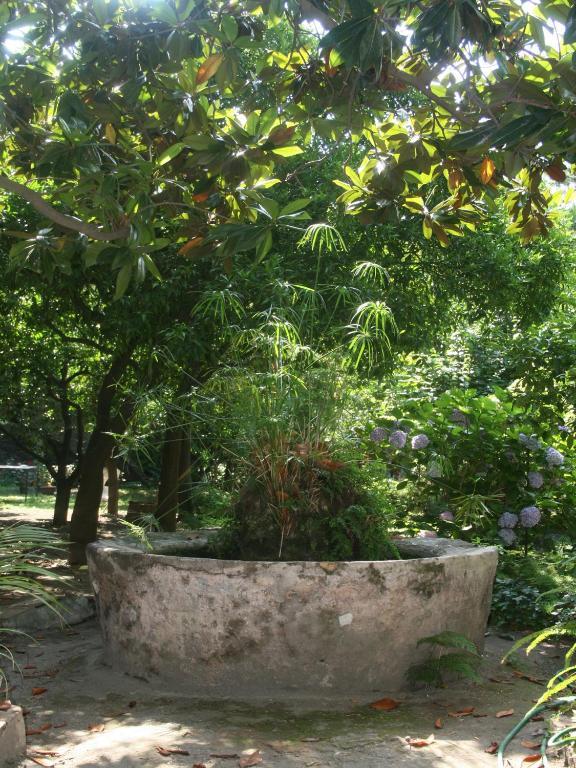 توري أنونزياتا Il Giardino Di Tonia - Oplontis Guest House - Bed & Garden - المظهر الخارجي الصورة